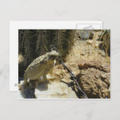 Carte Postale AJOUTEZ VOTRE PROPRE TEXTE à la position proposée (Devant / Derrière)