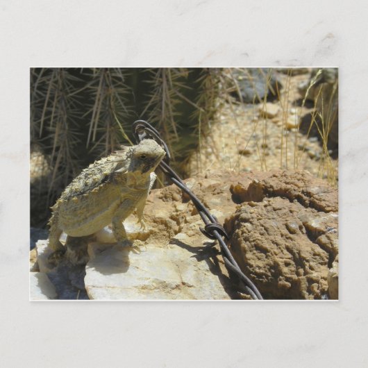 Carte Postale AJOUTEZ VOTRE PROPRE TEXTE à la position proposée (Devant)