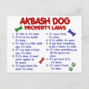 Carte Postale AKBASH DOG, propriété Lois 2