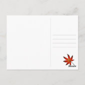 Carte Postale Akiko (Dos)