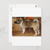 Carte Postale Akita (Devant / Derrière)