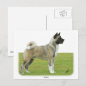 Carte Postale Akita 9R071D-147 (Devant / Derrière)