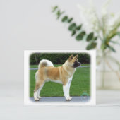 Carte Postale Akita 9T031D-052 (Debout devant)