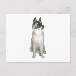 Carte Postale Akita (A) - (masque noir)