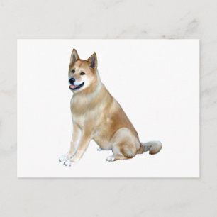 Carte Postale Akita (Akita Inu) (169)