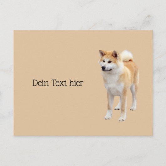 Carte Postale Akita Inu (Devant)