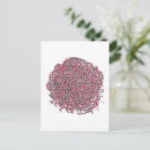 CARTE POSTALE AKO (Debout devant)