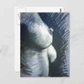 Carte Postale Akt, Frau (Devant / Derrière)