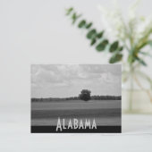 Carte Postale Alabama (Debout devant)