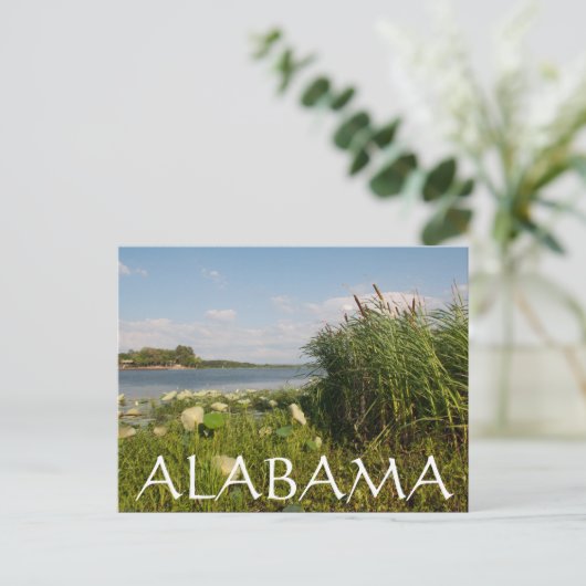 Carte Postale Alabama (Debout devant)