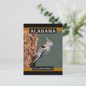 Carte Postale Alabama Yellowhammer (Debout devant)