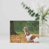 Carte Postale Alarme (Debout devant)