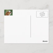 Carte Postale Alarme (Dos)