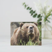 CARTE POSTALE ALASKA (Debout devant)