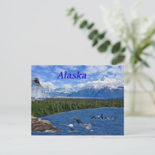 Carte Postale Alaska (Debout devant)