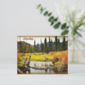 Carte Postale Alaska (Debout devant)