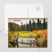 Carte Postale Alaska (Devant / Derrière)