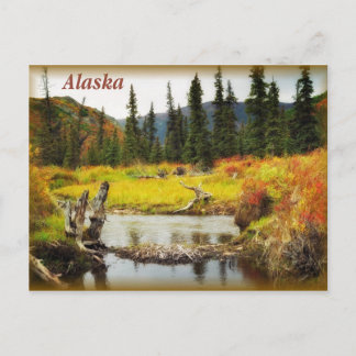 Carte Postale Alaska