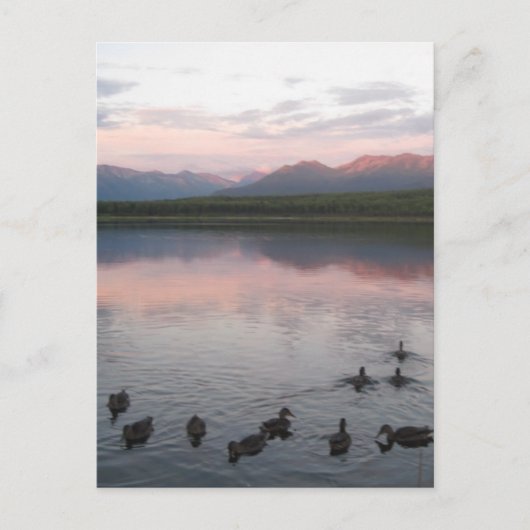 Carte Postale Alaska (Devant)
