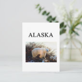 Carte Postale alaska (Debout devant)