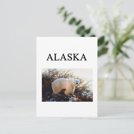 Carte Postale alaska (Debout devant)