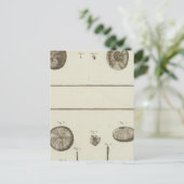 Carte Postale Alaska (Debout devant)