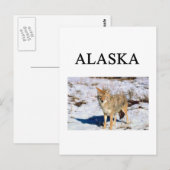 Carte Postale alaska (Devant / Derrière)