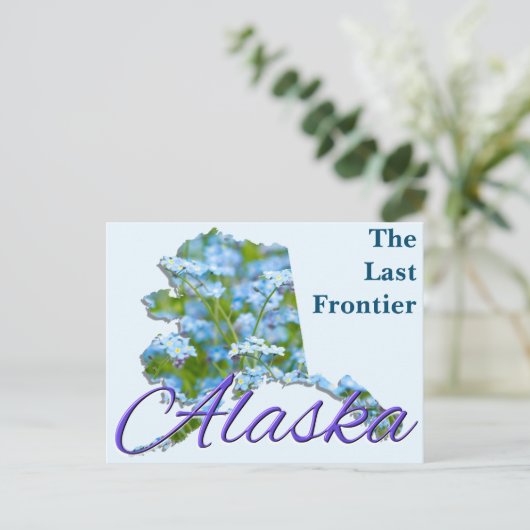 Carte postale - ALASKA (Debout devant)