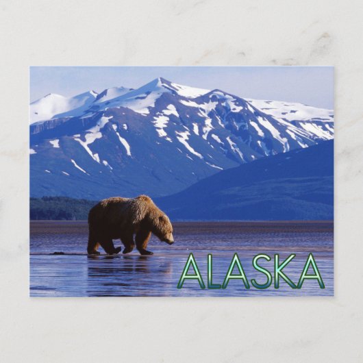 Carte postale Alaska (Devant)