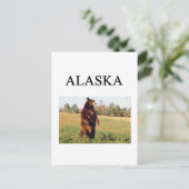 Carte Postale alaska (Debout devant)