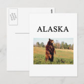 Carte Postale alaska (Devant / Derrière)