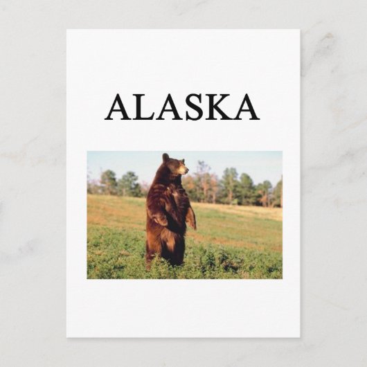 Carte Postale alaska (Devant)
