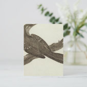 Carte Postale Alaska 2 (Debout devant)