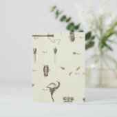 Carte Postale Alaska 3 (Debout devant)