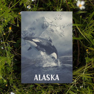 Carte Postale Alaska Mountains Tueur Whale Orca
