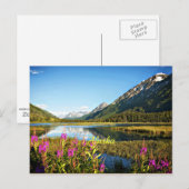 Carte Postale Alaska pittoresque, étiqueté (Devant / Derrière)