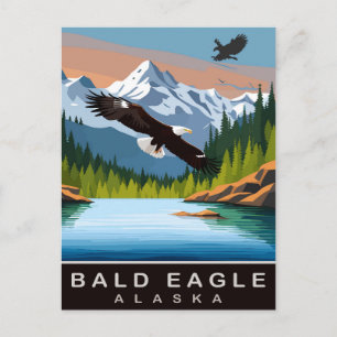 Carte Postale Alaska, Pygargue à tête blanche, Voyage