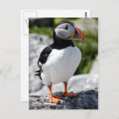 Carte Postale Alaska Tampins (Devant / Derrière)