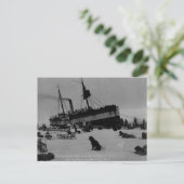 Carte Postale Alaska vintage (Debout devant)