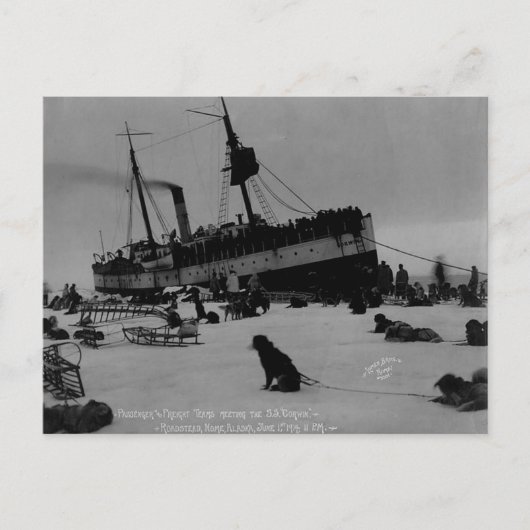 Carte Postale Alaska vintage (Devant)