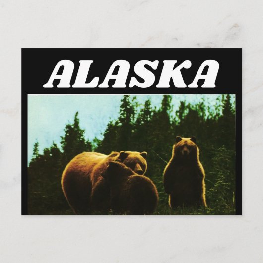 CARTE POSTALE ALASKA VINTAGE GRIZZLY (Devant)