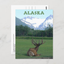 Alaska Wildlife Conservation Centre -
