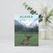 Carte Postale Alaska Wildlife Conservation Centre - (Debout devant)