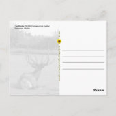 Carte Postale Alaska Wildlife Conservation Centre - (Dos)