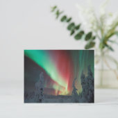 Carte Postale Alaskan Aurora Borealis (Debout devant)