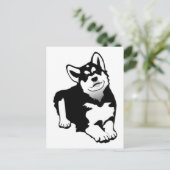 Carte Postale Alaskan Husky (Debout devant)