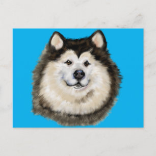 Carte Postale Alaskan Malamute
