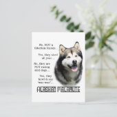 Carte Postale Alaskan Malamute FAQ (Debout devant)