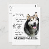 Carte Postale Alaskan Malamute FAQ (Devant / Derrière)