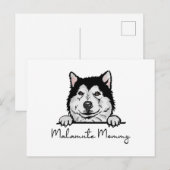 Carte Postale Alaskan Malamute maman (Devant / Derrière)